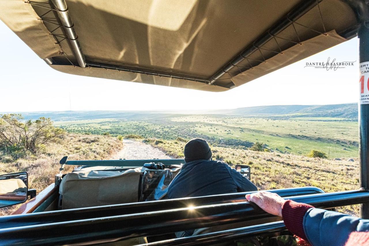 Leeuwenbosch Country House - Amakhala Game Reserve Eksteriør bilde