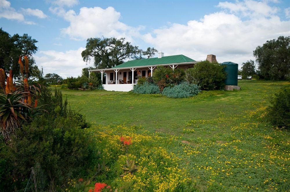 Leeuwenbosch Country House - Amakhala Game Reserve Eksteriør bilde