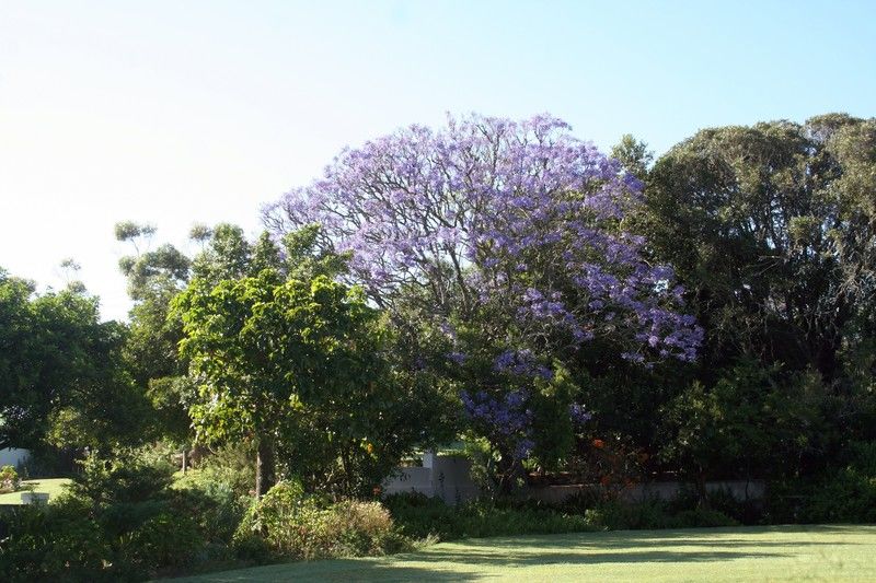 Leeuwenbosch Country House - Amakhala Game Reserve Eksteriør bilde