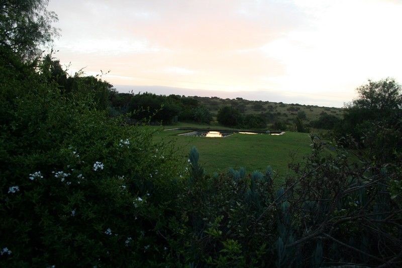 Leeuwenbosch Country House - Amakhala Game Reserve Eksteriør bilde