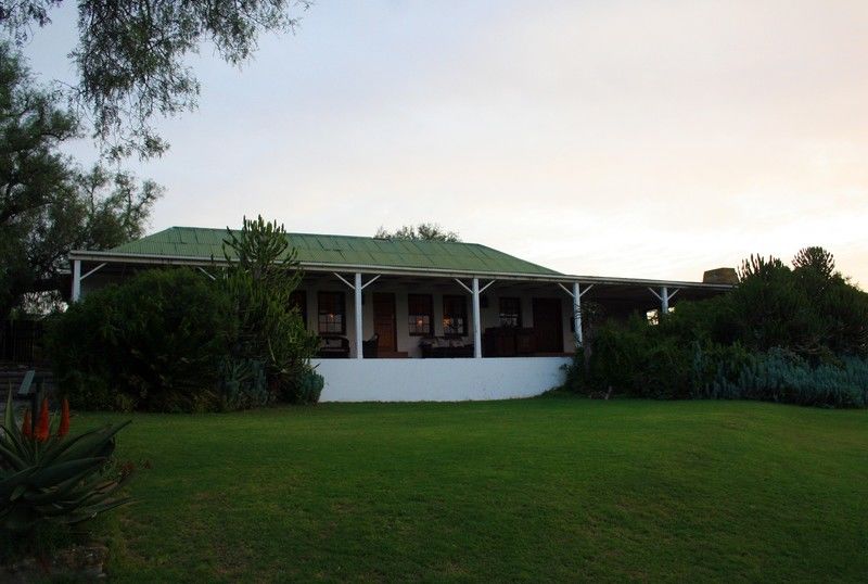 Leeuwenbosch Country House - Amakhala Game Reserve Eksteriør bilde