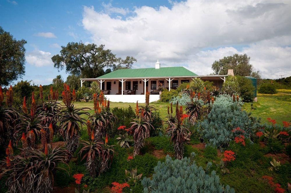Leeuwenbosch Country House - Amakhala Game Reserve Eksteriør bilde