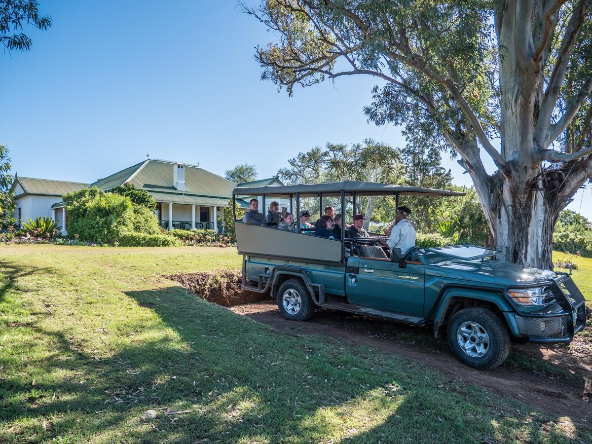 Leeuwenbosch Country House - Amakhala Game Reserve Eksteriør bilde