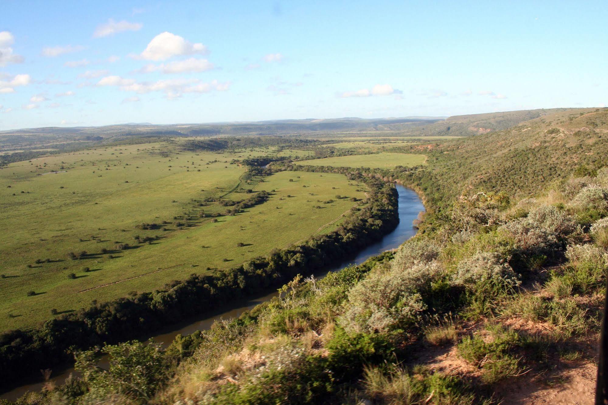 Leeuwenbosch Country House - Amakhala Game Reserve Eksteriør bilde