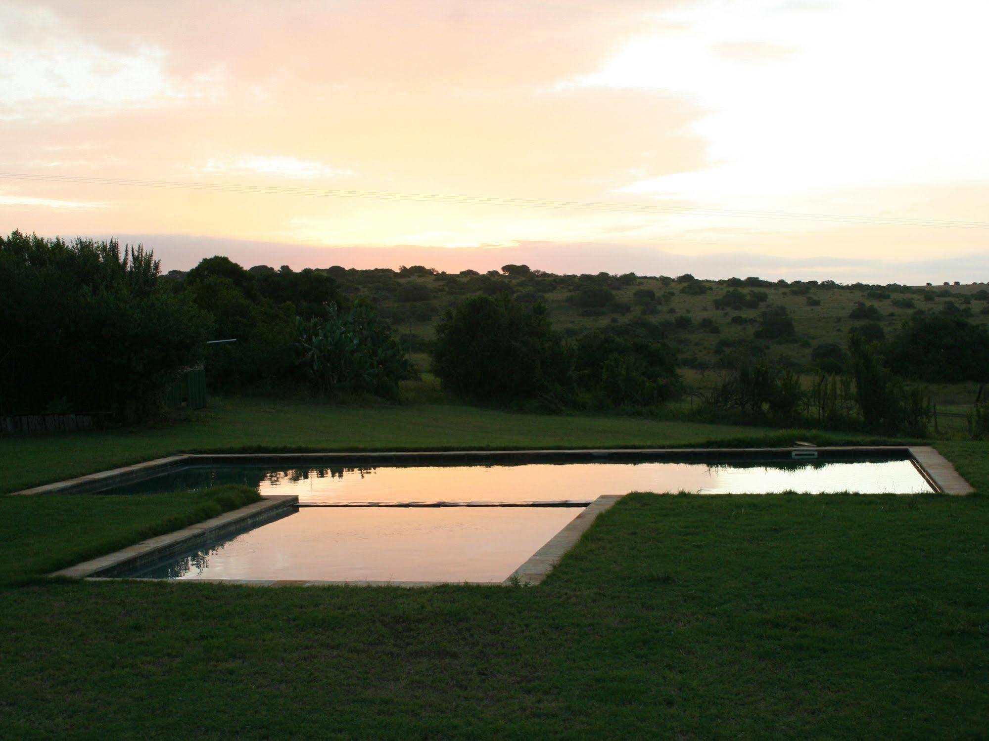 Leeuwenbosch Country House - Amakhala Game Reserve Eksteriør bilde