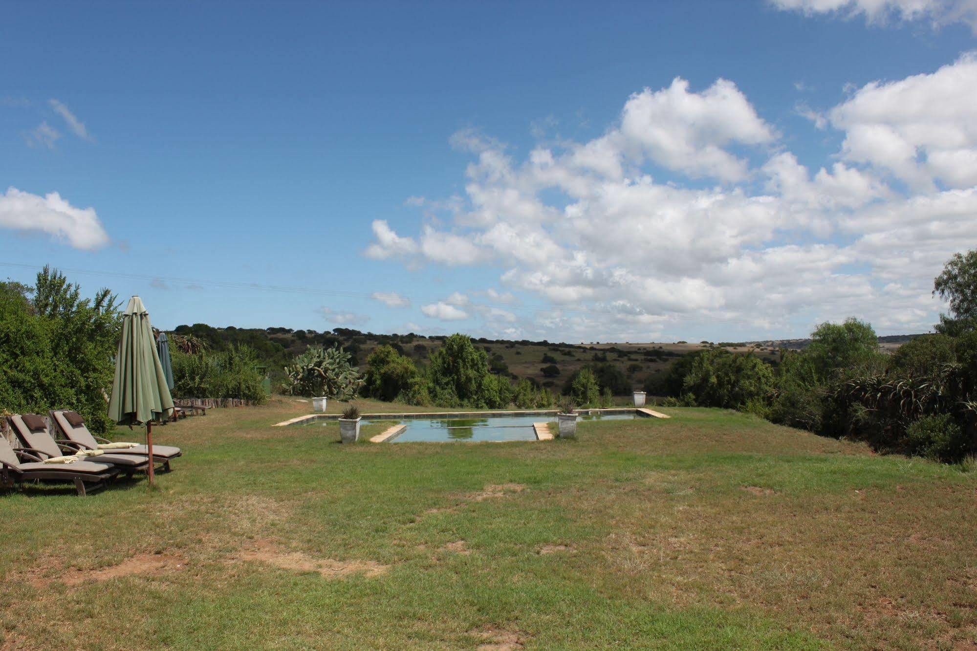 Leeuwenbosch Country House - Amakhala Game Reserve Eksteriør bilde