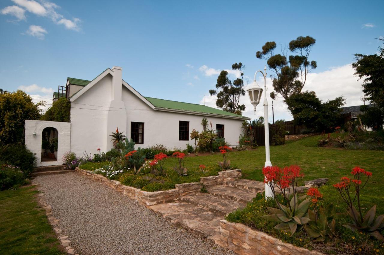 Leeuwenbosch Country House - Amakhala Game Reserve Eksteriør bilde