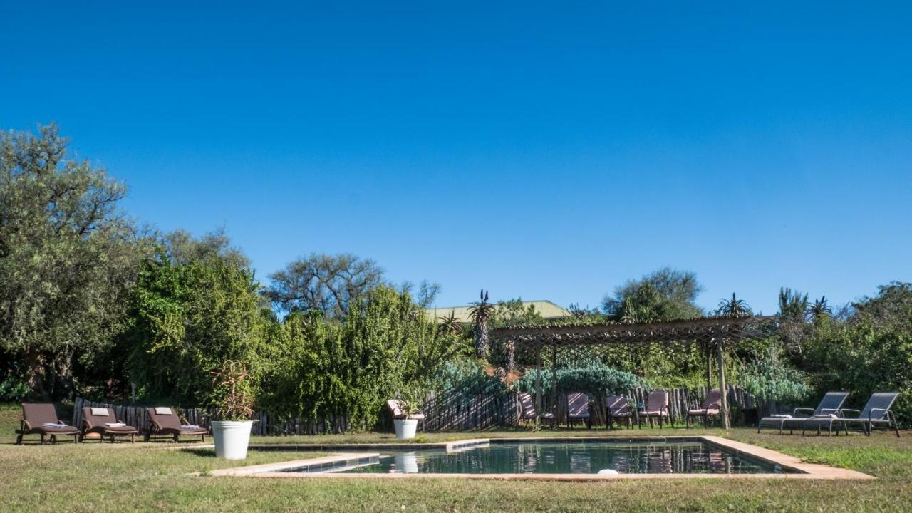 Leeuwenbosch Country House - Amakhala Game Reserve Eksteriør bilde